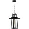 Quoizel Devonport 1-Light Matte Black Outdoor Hanging Lantern DEV1910MBK - alternate 4